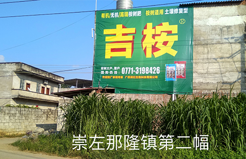 崇左区那隆镇第二幅