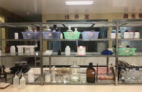 桉主席基地展示